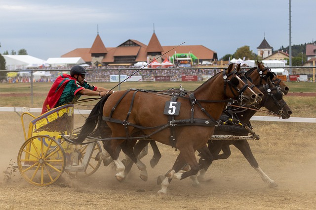 要原因之一 要原因之一