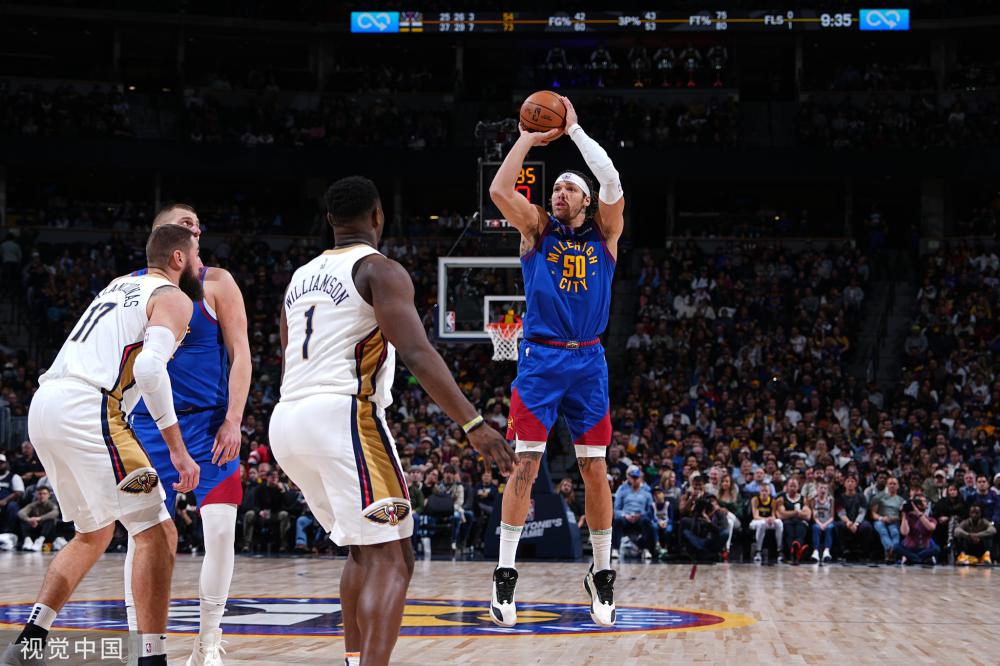 复仇鹈鹕 复仇鹈鹕